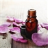 Real Life Love Potions 6 Essential Oils for Attraction