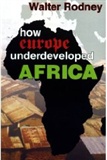 How Europe Underdeveloped Africa walter rodney Book