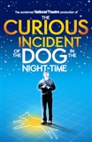 The Curious Incident of the Dog in the Night-time: Mark Haddon