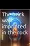 The brick wall imprinted in the rock Ionel Movila Book
