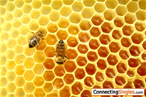 Bees are the most technical creatives among all other beings........an ultimate creation