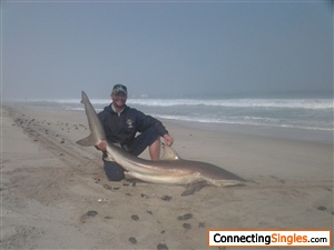 Shark fishing in Namibia