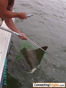 My fishing buddy recently caught this Ray in the O. C. inlet. (late August)