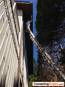Residential Painting in a 40 foot ladder