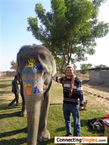 Christmas with elephants in India