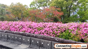 Its a garden in Nagasaki Japan