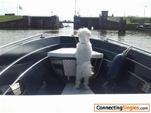 My doggie Chico. ..touring  with me in the boat