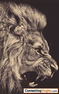 The heart of a Lion