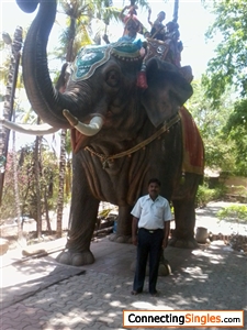 Vijaykumar8384