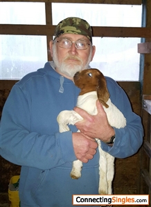 one of our many baby goats