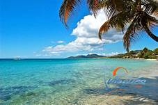 NEXT ADVENTURE: 
Vieques Island in Puerto Rico!