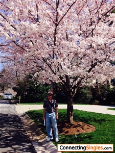 Jeff and the cherry blossoms