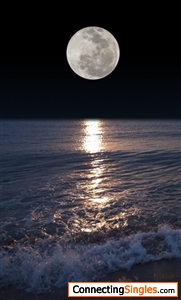 the moon,the ocean,the night...