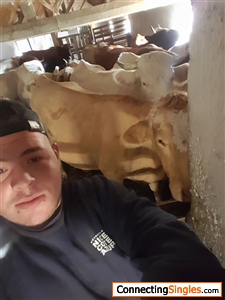 my beloved son looking after the herd south of france ,i am english ,my boy's mum is french  and we lived a life old style a beautiful life for a good moment xxx