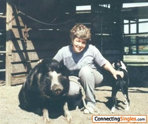 This was many years ago but I loved that pig, Fido and dog, Bosco.