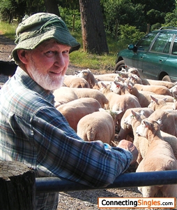 Richard checking some of his sheep