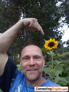 Showing my brother in law that sunflowers can grow more than a foot high ;)