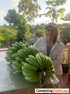 Growing bananas