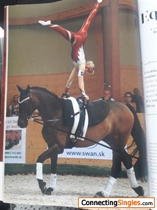 Competition In Ermelo Holland with my horse about 12 years ago