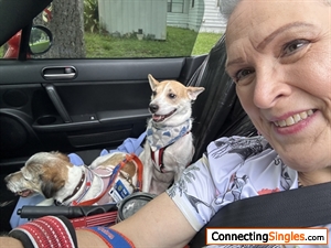 Taking the jack russells for a ride in the Miata—top down!