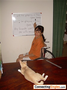 My intelligent cat learns English with me