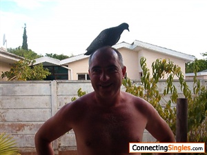 The truth is out , how us men actually loose our hair.
Wild crazy dove who thinks my dome is the perfect perch lol