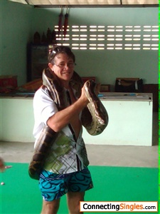 holding snake in thailand snake show