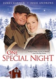 One Special Night Movie