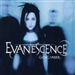 Evanescence Fallen Music