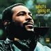 Marvin Gaye: Whats Going on