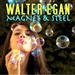 Walter Egan Magnet and Steel Walter Egan Not Shy Music
