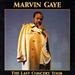 Last Concert Tour by Marvin Gaye Marvin Gaye