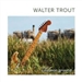 Walter Trout: Common Ground 2010