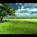Green Grass Cibelle
