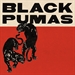 Colors Black Pumas