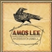 Violin Amos Lee