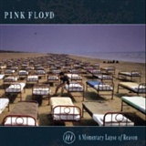 Pink Floyd: A momentary lapse of reason