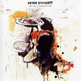 Peter Doherty: Grace Wastelands
