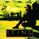 Sting Shape Of My Heart Music