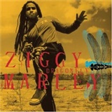 Ziggy Marley: dragonfly