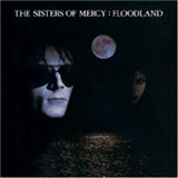 sisters of mercy: Floodland