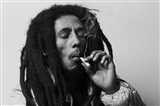 Bob Marley: Coming in from the cold