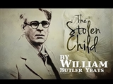 The waterboys: The stolen child