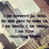 Counting Crows: Colourblind