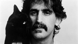 Frank Zappa: Pink Napkins