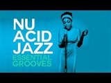 Various Artists: Nu Acid Jazz Essential Grooves - 2 Hours selection