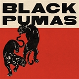 Black Pumas: Colors