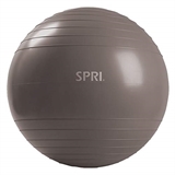 Best Exercise Balls SPRI Elite Xercise Balance Ball 75cm