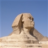 The amazing sphinx