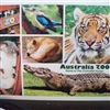 the zoo Puzzle